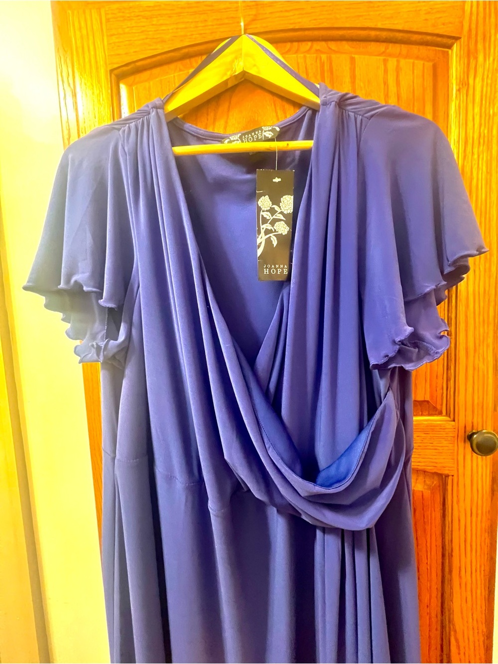 Joanna Hope Violet Midi Dress with Draped Front, Flutter Sleeves.  NWT Size 22